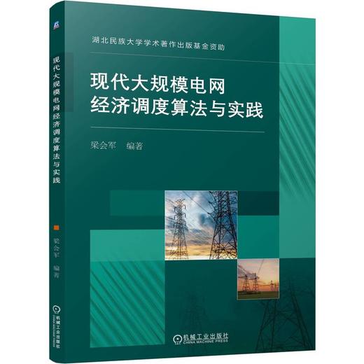 现代大规模电网经济调度算法与实践 商品图0