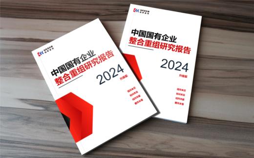 中国国有企业整合重组研究报告（2024升级版） 商品图3