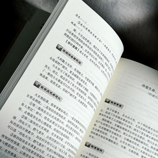 从班会课到成长课程 德育特级教师的班会课微革命 全国中小学班主任培训用书 商品图12