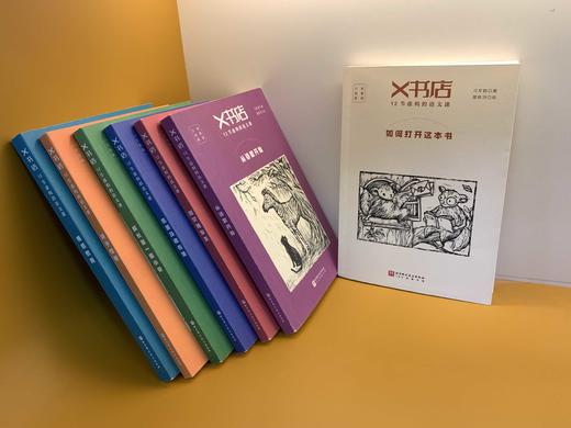《X书店：12节虚构的语文课》（全7册）启发少年思考讨论 逻辑 小说 诗歌 商品图8