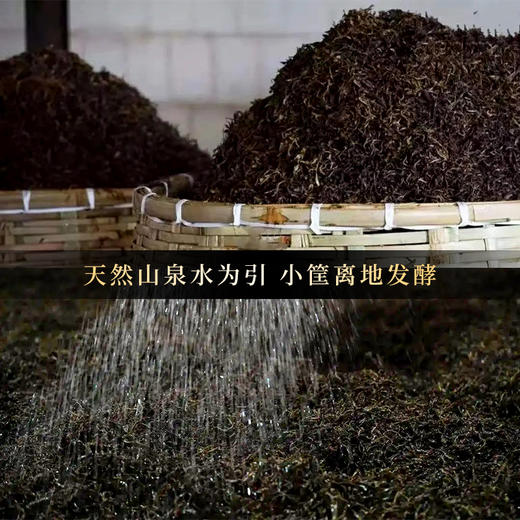 【整件8团】【龙团贡茶困鹿山熟茶】2022年头春头采云南普洱茶熟茶团茶礼盒装与茶农强强联合良心好茶500g/团 商品图13