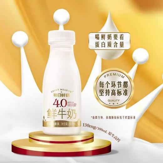 【爆】【BF】每日鲜语4.0鲜牛奶 250ml（自提点：购物中心BF超市） 商品图0