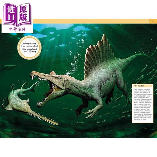 【中商原版】DK 1000个惊人的恐龙事实 1000 amazing dinosaur facts 英文原版 儿童科普读物 动物科学百科 进口童书 9岁以上 商品图2