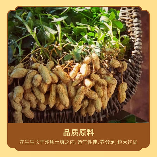 荪衣草花生油5升 商品图3