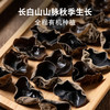 【开团】拾爸家 有机秋木耳 长白山秋木耳 肉质厚实 泡发率高 脆嫩爽口 100g/袋  商品缩略图3