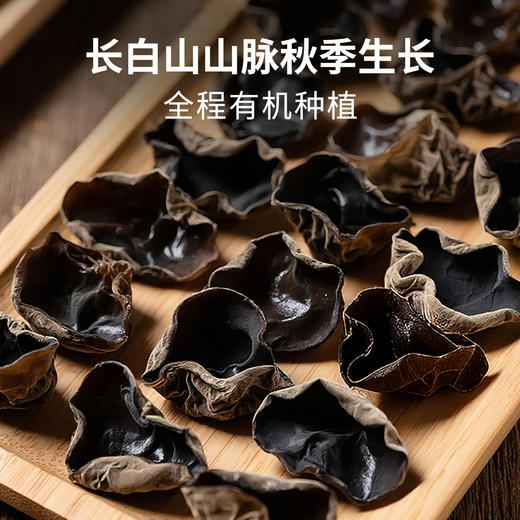 【开团】拾爸家 有机秋木耳 长白山秋木耳 肉质厚实 泡发率高 脆嫩爽口 100g/袋  商品图3