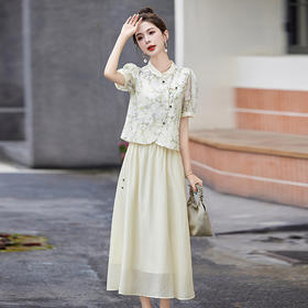 新中式国风半身裙套装2025夏季新款流苏碎花短袖上衣裙子两件套YWY8938