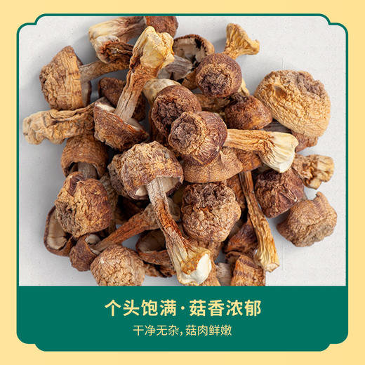 筠如意姬松茸100G 商品图2