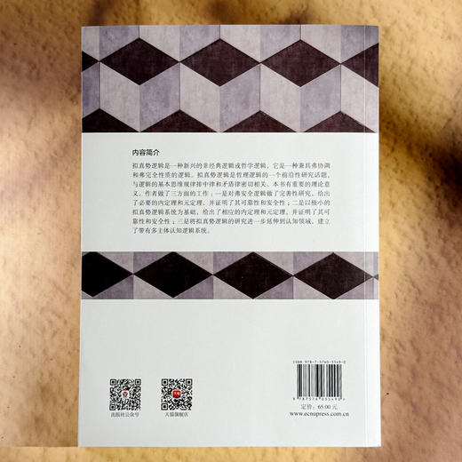 拟真势多主体认知逻辑研究 郝旭东 哲理逻辑 逻辑学 商品图2