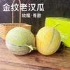 吐鲁番金纹老汉瓜 绵软香甜 9-10斤 京东空运 商品缩略图1