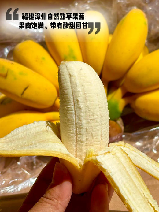 福建漳州苹果蕉～口感软糯细腻，甜中带有微酸，类似苹果的果香、原生态、自然成熟不打药、安全可口营养丰富、减脂期必备、品味舌尖与紧致果肉的交融，像糯米般有嚼劲，丝滑奇妙，比普通香蕉口感更丰富～ 商品图0
