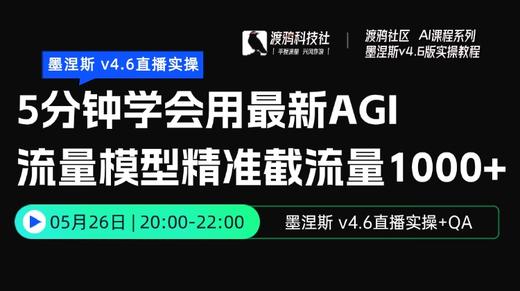 25年第⑥期：5分钟学会用最新AGI 流量模型精准截流量1000+ 商品图0