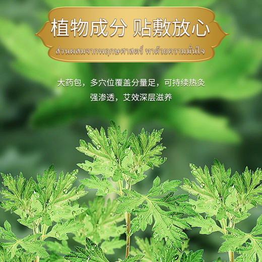 JIMSIGA艾灸贴护理热敷缓解身体外用 商品图1