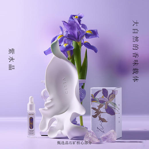 紫水晶鸢尾系列扩香香薰摆件礼盒 商品图2