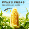 【盼盼专属玉米汁】飞鹤北纬47°玉米汁 商品缩略图1
