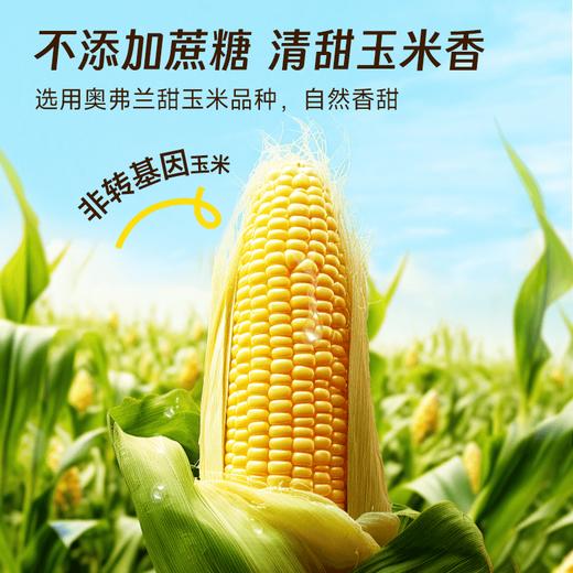 【盼盼专属玉米汁】飞鹤北纬47°玉米汁 商品图1