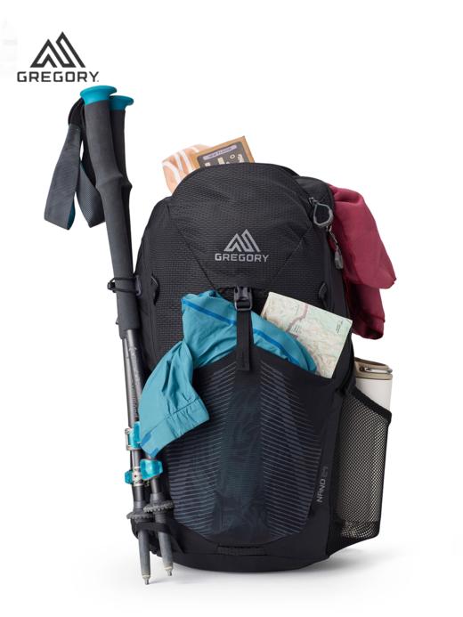 Gregory格里高利NANO蜂鸟24L多功能户外双肩包旅行登山包背包 商品图2