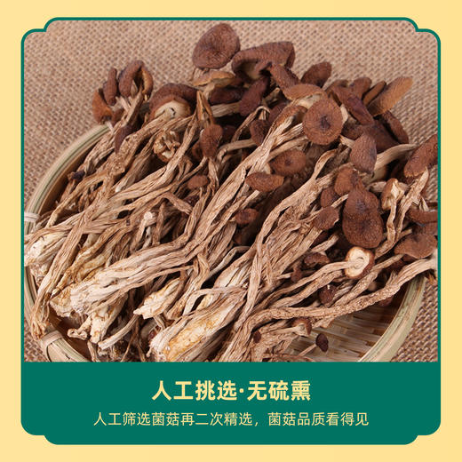 筠如意鹿茸菇60G 商品图2