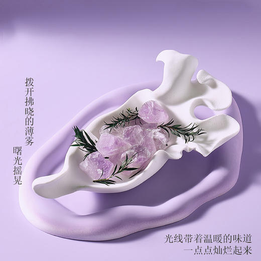 紫水晶鸢尾系列扩香香薰摆件礼盒 商品图1