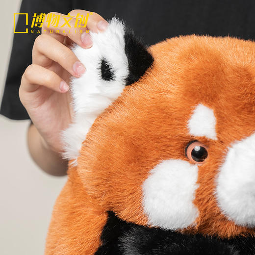 博物文创 圆宝系列 小熊猫 毛绒玩偶节日礼物 商品图4