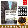 黑木耳栽培实用技术【国家食用菌产业技术体系栽培技术丛书】 商品缩略图0