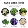 【分销】洄·净玉洁面皂 | 75g/块 手工冷制皂 白玉兰花纯露精油香氛 温润养肤 45天晾晒 洗手沐浴全身可用 商品缩略图5