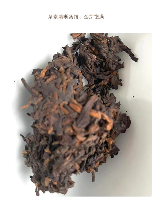 熟普 | 洪海古树2009年 甘熟普 古树熟普357g/饼 商品图1