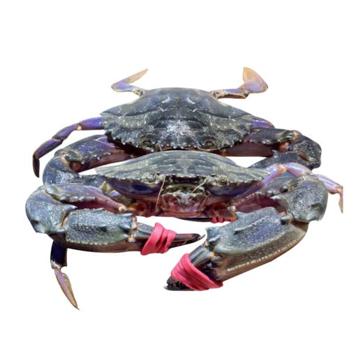 L红夹子螃蟹（约500g）多退少补 商品图0