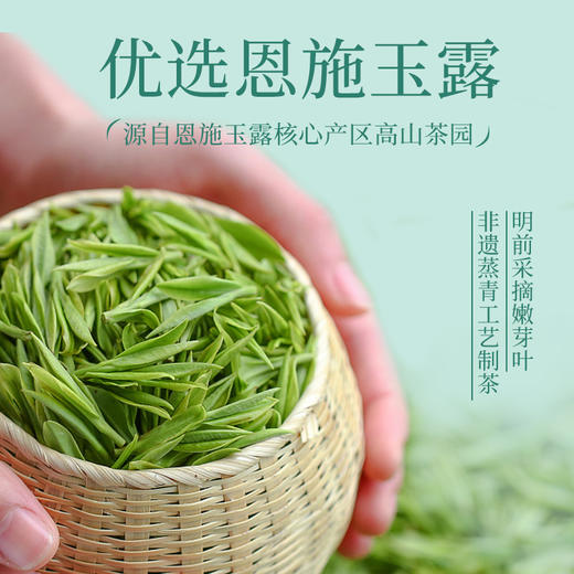 【2025新茶】茶马世家一级茉莉玉露300g 商品图2