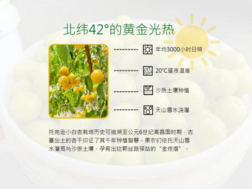 【顺丰发货】新疆轮台小白杏4斤常规礼盒 香甜如蜜 水润多汁 肉质肥厚 商品图1