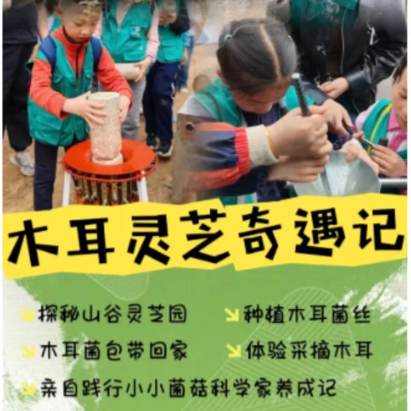 户外探索系列|【6月8日/6月9日】|【神奇菌菇王国探险记】木耳+灵芝一日独立营