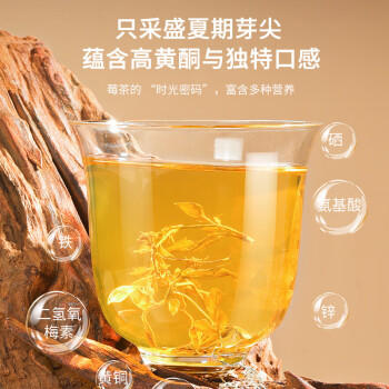 福东海特级莓茶250克 野山生张家界正宗龙须芽尖高山霉茶嫩芽藤茶送礼品 /非药健康 /滋补养生 /养生茶饮 商品图2