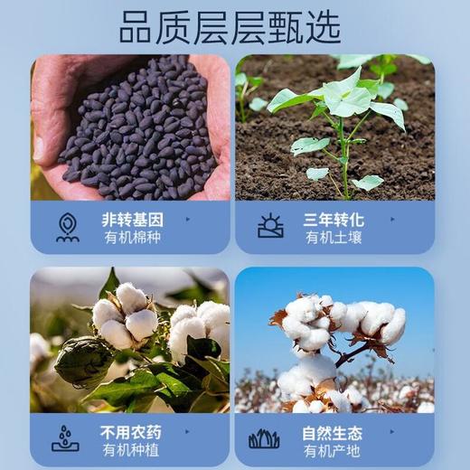 自由点有机纯棉极薄夜用１２片卫生巾/份 商品图1