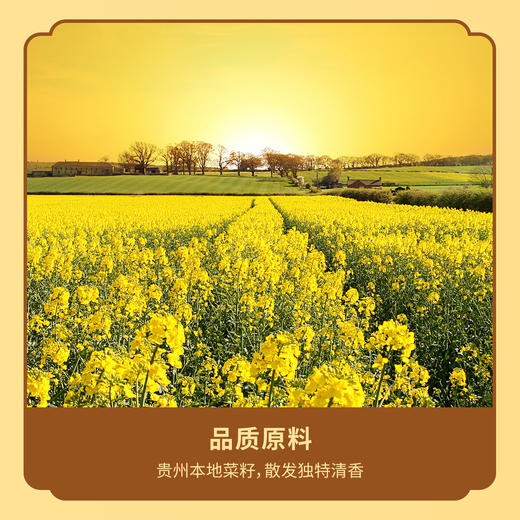 荪衣草菜籽油5升 商品图3