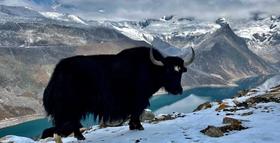 队员游记｜库拉岗日，梦想照进现实 