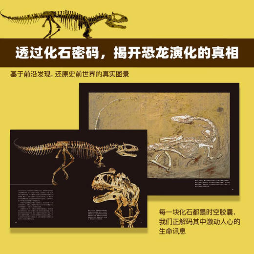 恐龙复原档案：解密远古时期的地球霸主 一本书读懂真实的恐龙世界 71种恐龙完整复原档案 商品图3