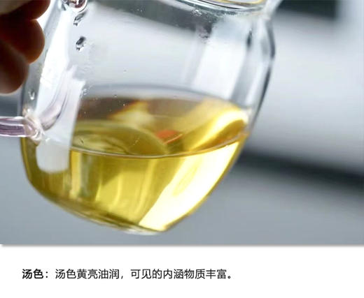 生普 | 千百树 2024年大雪山 500+ 树龄 大单株 200g/饼 商品图1