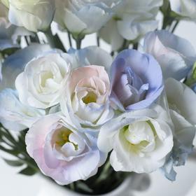 【人鱼姬桔梗】藏匿在粉色银河里的 ❀❀