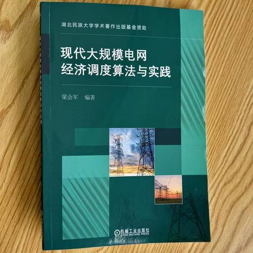 现代大规模电网经济调度算法与实践 商品图1