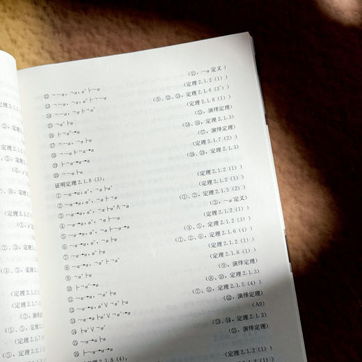 拟真势多主体认知逻辑研究 郝旭东 哲理逻辑 逻辑学 商品图10