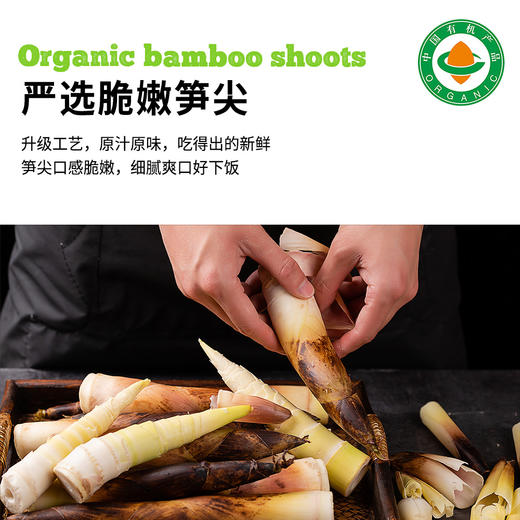 有机山野嫩笋200g|新鲜竹笋制作配料干净笋丝烹饪 商品图3