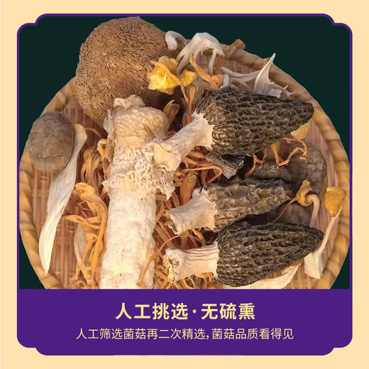 荪衣草菌汤包60G 商品图4