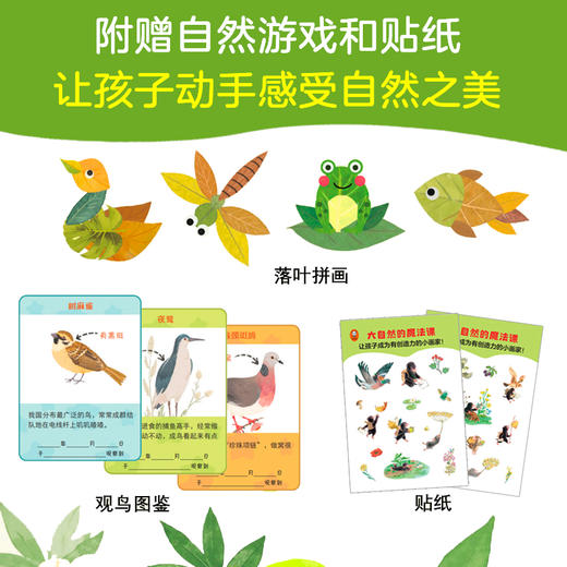 大自然的魔法课（全四册）安妮·西布兰/文 埃米莉·安热博/图 商品图7
