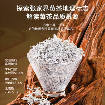 福东海特级莓茶250克 野山生张家界正宗龙须芽尖高山霉茶嫩芽藤茶送礼品 /非药健康 /滋补养生 /养生茶饮 商品图0