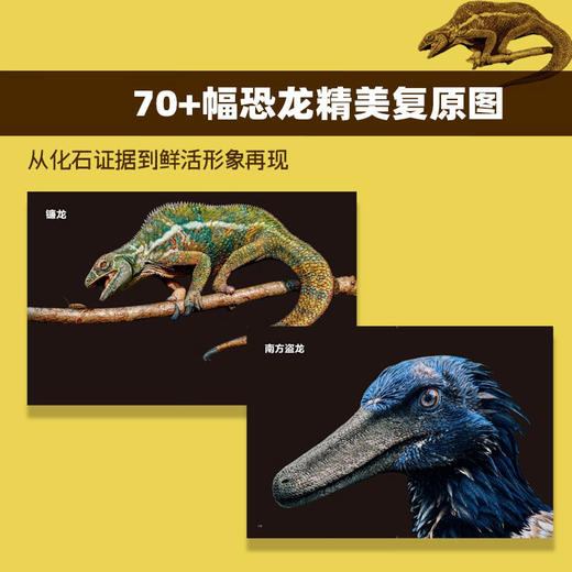 恐龙复原档案：解密远古时期的地球霸主 一本书读懂真实的恐龙世界 71种恐龙完整复原档案 商品图4
