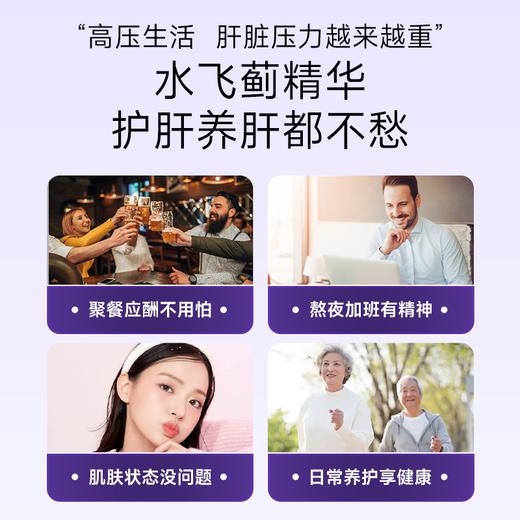 EHRGOLS/健耐德奶蓟草正品护肝片水飞蓟片熬夜肝脏水飞蓟素 商品图1