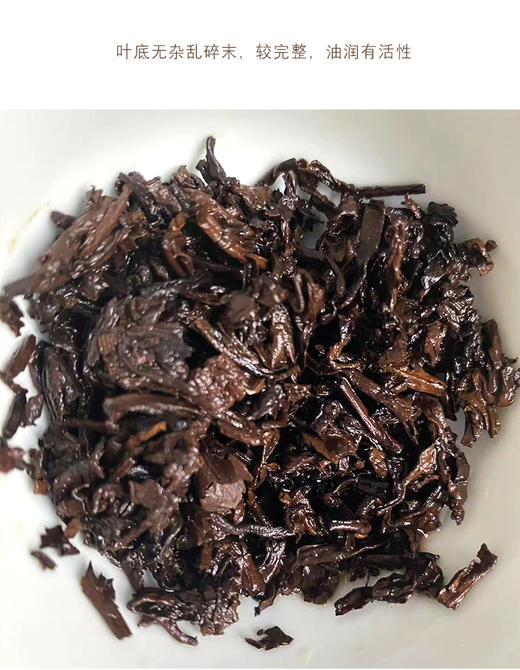 熟普 | 洪海古树2009年 甘熟普 古树熟普357g/饼 商品图5