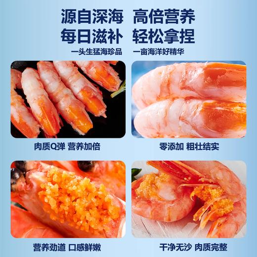 【冷链直达】加拿大进口北极甜虾3斤装 刺身级品质 大个头 含籽量70%+黄腹籽虾解冻直接吃肉质鲜嫩甜低脂高蛋白免去虾线男女老少皆宜 商品图6