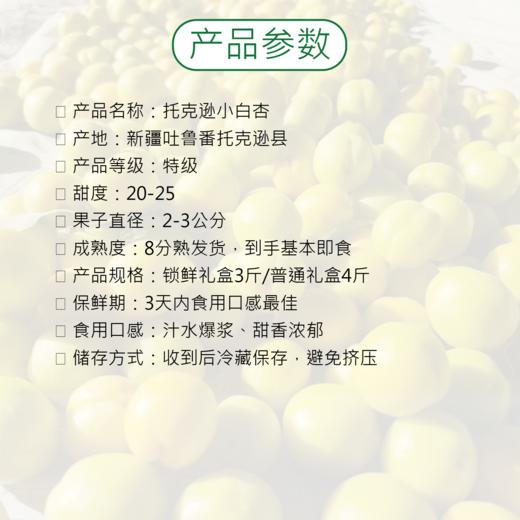 【顺丰发货】新疆轮台小白杏4斤常规礼盒 香甜如蜜 水润多汁 肉质肥厚 商品图3