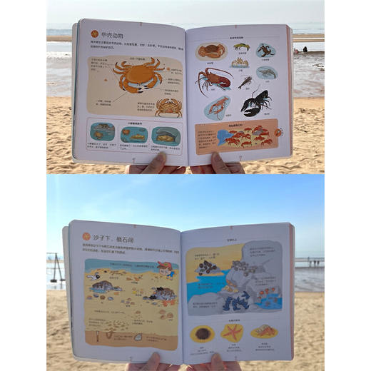 拉鲁斯海洋小百科 商品图3